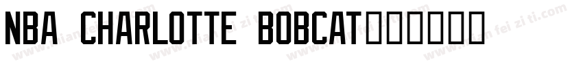 NBA Charlotte Bobcat字体转换